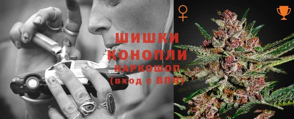 apvp Арсеньев