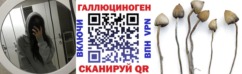 даркнет формула  Сочи  Галлюциногенные грибы прущие грибы  цены наркотик 