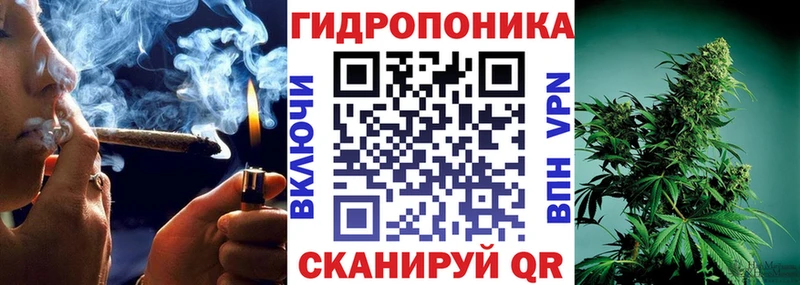 Шишки марихуана план Сочи